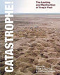Catastrophe! The Looting and Destruction of Iraq's Past. Edited by Geoff Emberling and Katharyn Hanson