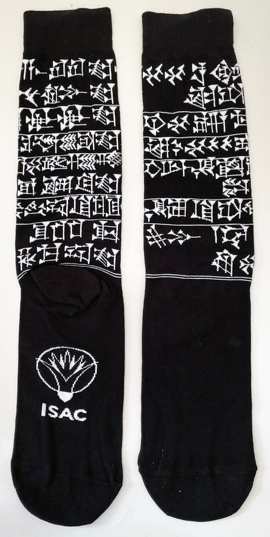Cuneiform Socks